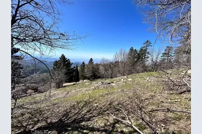 41 Fredalba Road, Running Springs, CA 92382 - Photo 3