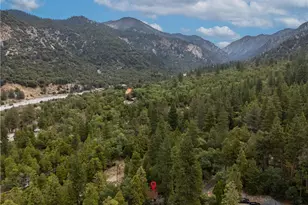 9165 Coffey Rd, Forest Falls, CA 92339 - Photo 25