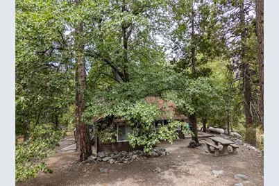 9165 Coffey Road, Forest Falls, CA 92339 - Photo 27