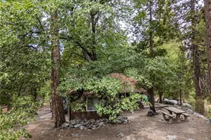 9165 Coffey Rd, Forest Falls, CA 92339 - Photo 27