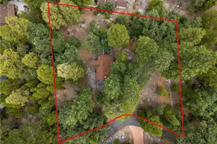 9165 Coffey Rd, Forest Falls, CA 92339 - Photo 7