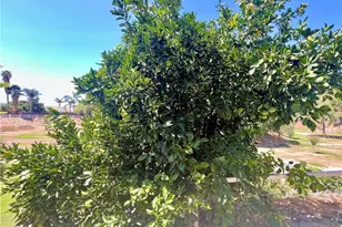 42751 E Florida Ave, Hemet, CA 92544 - Photo 31