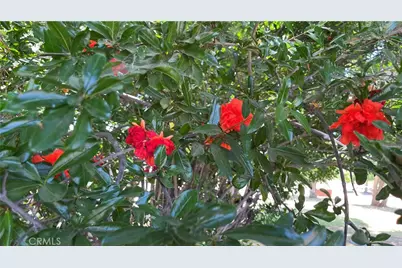 21457 Pecan, Wildomar, CA 92595 - Photo 59