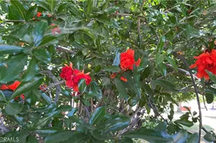 21457 Pecan, Wildomar, CA 92595 - Photo 59