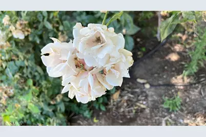 21457 Pecan, Wildomar, CA 92595 - Photo 57