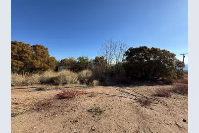 45740 Chapman Road, Anza, CA 92539 - Photo 11