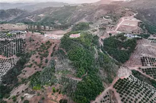 49650 Via Vaquero, Temecula, CA 92590 - Photo 41