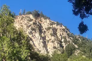 41424 Valley of the Falls Dr, Forest Falls, CA 92339 - Photo 1