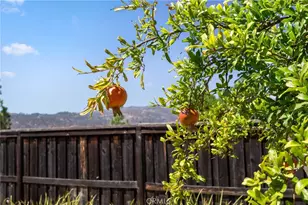 36220 Madora, Wildomar, CA 92595 - Photo 33