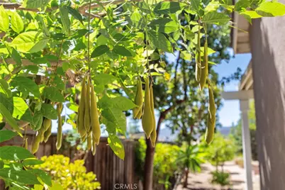 36220 Madora, Wildomar, CA 92595 - Photo 35