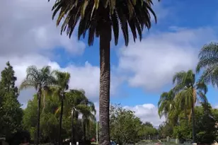 24909 Madison, Murrieta, CA 92562 - Photo 25