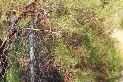 52 Trails End Lane, Anza, CA 92539 - Photo 9