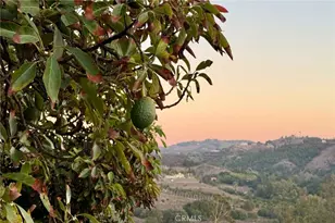 43040 Via Nariz, Temecula, CA 92590 - Photo 75