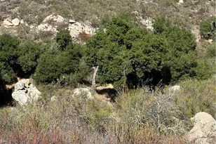 0 Remuda Dr, Temecula, CA 92595 - Photo 11