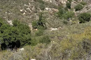 0 Remuda Dr, Temecula, CA 92595 - Photo 13