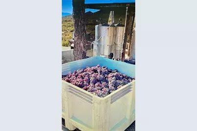 34680 Highway 79, Warner Springs, CA 92086 - Photo 31