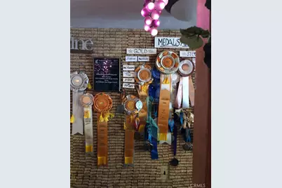 34680 Highway 79, Warner Springs, CA 92086 - Photo 11