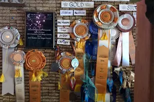 34680 Hwy 79, Warner Springs, CA 92086 - Photo 11