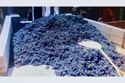 34680 Highway 79, Warner Springs, CA 92086 - Photo 27