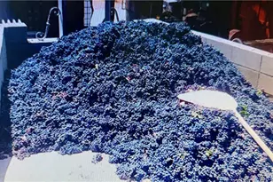 34680 Hwy 79, Warner Springs, CA 92086 - Photo 27