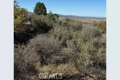 0 Reynolds, Anza, CA 92539 - Photo 7