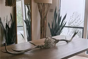 45180 El Reposo Rd, Aguanga, CA 92536 - Photo 5