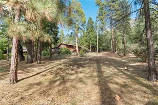 25220 Rim Rock, Idyllwild, CA 92549 - Photo 3
