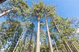 25220 Rim Rock, Idyllwild, CA 92549 - Photo 35