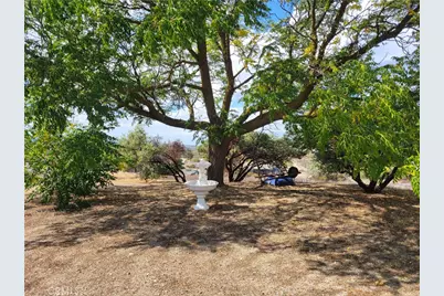 39630 Howard, Anza, CA 92539 - Photo 37