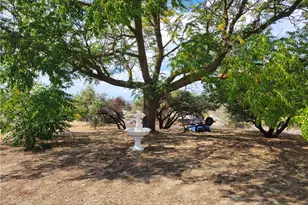 39630 Howard, Anza, CA 92539 - Photo 37