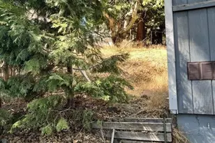 22253 Pine Dr, Cedarpines Park, CA 92322 - Photo 17