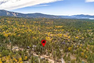 440 Saw Mill, Sugarloaf, CA 92314 - Photo 59