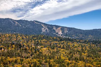 440 Saw Mill, Sugarloaf, CA 92314 - Photo 61