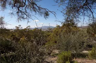 59760 Burnt Valley, Anza, CA 92539 - Photo 37