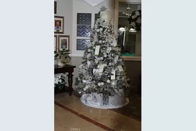 248 Four Seasons, Hemet, CA 92545 - Photo 29