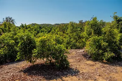 15 Camaron Road, Temecula, CA 92590 - Photo 7