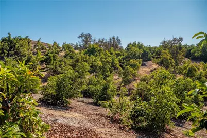 15 Camaron Road, Temecula, CA 92590 - Photo 7