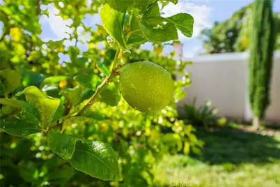 24385 Via Las Junitas, Murrieta, CA 92562 - Photo 31