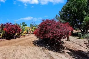 40410 Exa Ely Rd, Hemet, CA 92544 - Photo 63