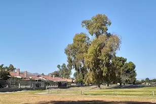 1484 Pepper Tree Dr, Hemet, CA 92545 - Photo 25