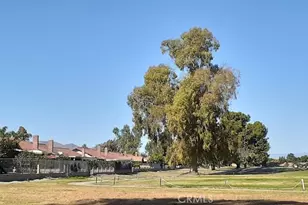 1484 Pepper Tree Dr, Hemet, CA 92543 - Photo 29