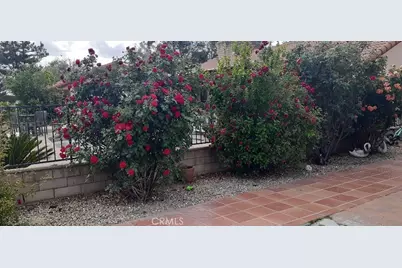 1484 Pepper Tree Drive, Hemet, CA 92543 - Photo 21