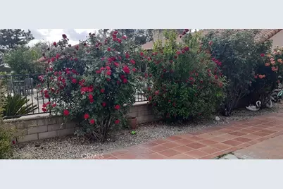 1484 Pepper Tree Drive, Hemet, CA 92543 - Photo 19
