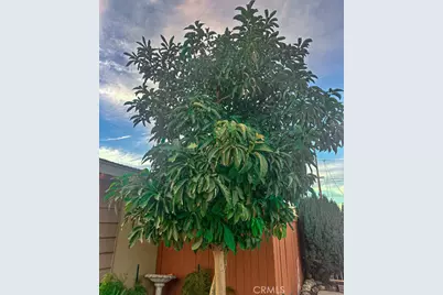 2425 Heather Avenue, Long Beach, CA 90815 - Photo 51