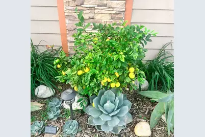 2425 Heather Avenue, Long Beach, CA 90815 - Photo 5