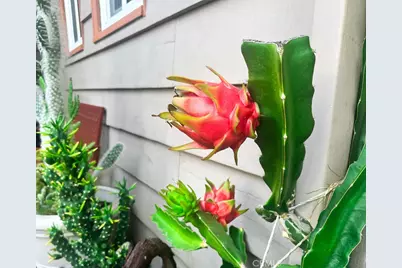 2425 Heather Avenue, Long Beach, CA 90815 - Photo 11