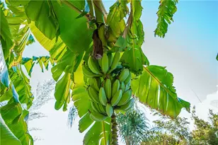 6580 Lake, Riverside, CA 92503 - Photo 59