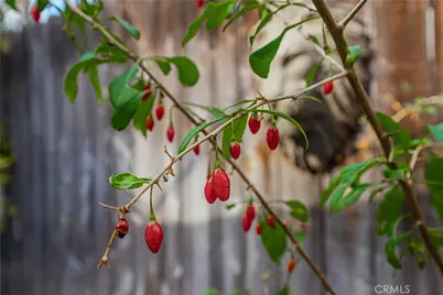 6580 Lake, Riverside, CA 92503 - Photo 41