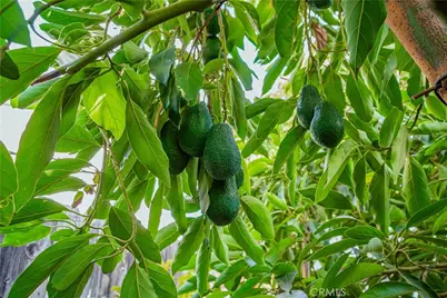 6580 Lake, Riverside, CA 92503 - Photo 39