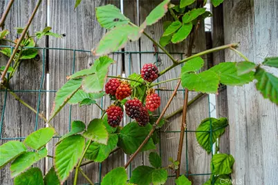 6580 Lake, Riverside, CA 92503 - Photo 37